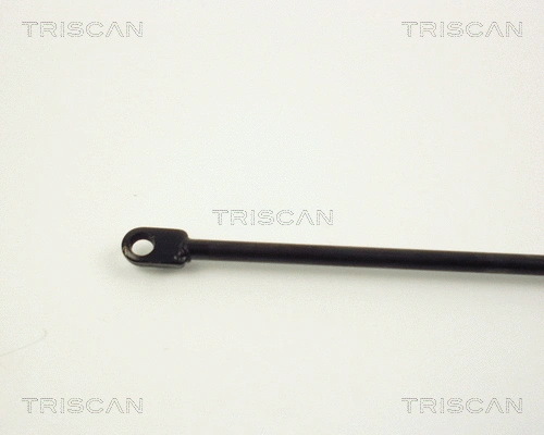 Gas Spring, bonnet