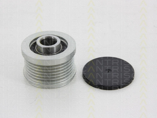 Alternator Freewheel Clutch (8641 144006)