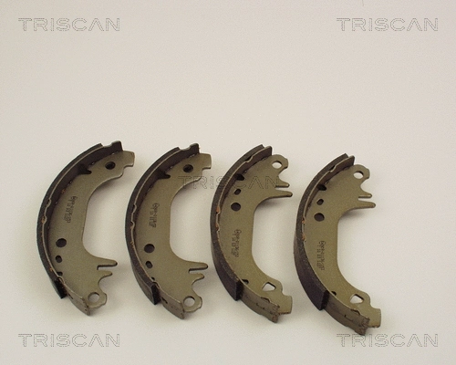 Brake Shoe Set (8100 10407)