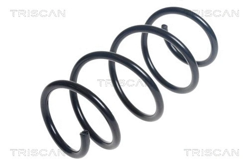 Suspension Spring (8750 29432)