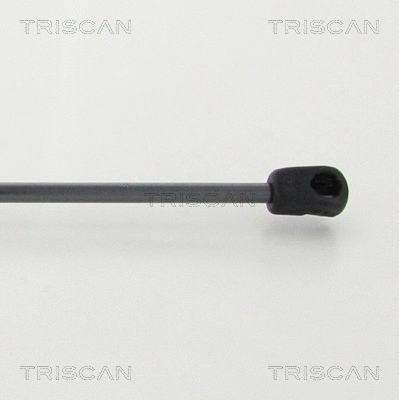 Gas Spring, boot/cargo area