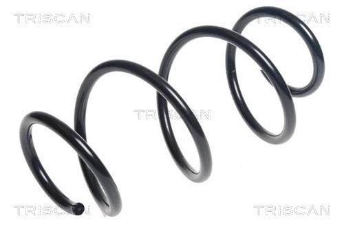 Suspension Spring (8750 25131)