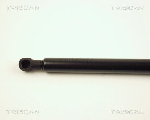 Gas Spring, boot/cargo area