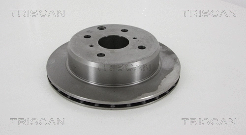 Brake Disc (8120 13161)