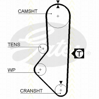 Timing Belt
