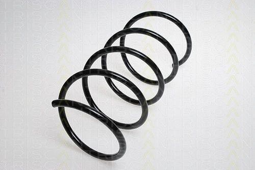 Suspension Spring (8750 23121)