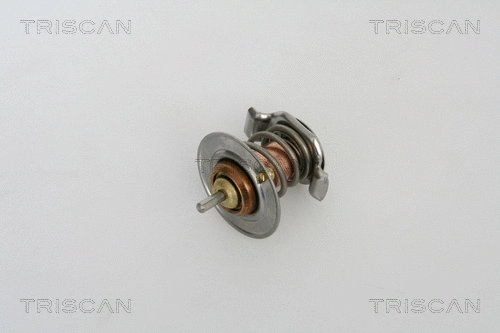 Thermostat, coolant (8620 21891)
