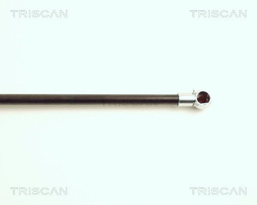 Gas Spring, boot/cargo area