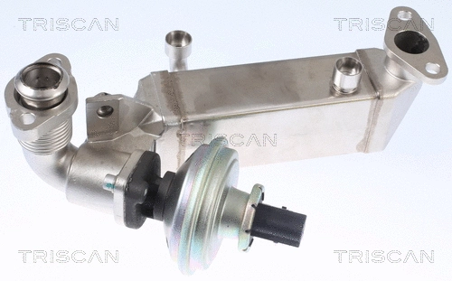 EGR Valve (8813 11009)