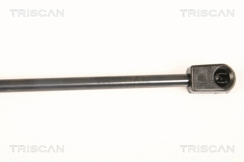 Gas Spring, boot/cargo area