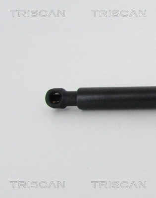 Gas Spring, boot/cargo area