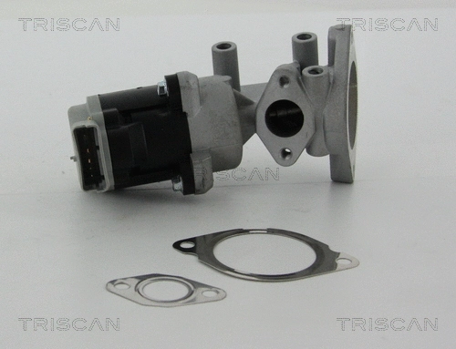 EGR Valve