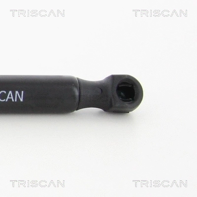Gas Spring, boot/cargo area (8710 28291)