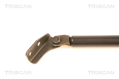 Gas Spring, boot/cargo area