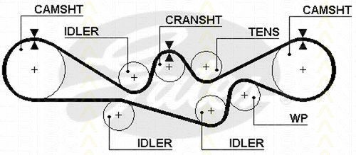 Timing Belt