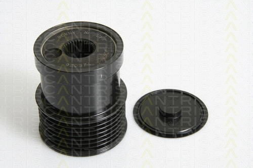 Alternator Freewheel Clutch (8641 164002)