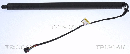 Gas Spring, boot/cargo area (8710 17302)