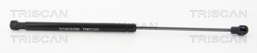 Gas Spring, boot/cargo area (8710 29284)