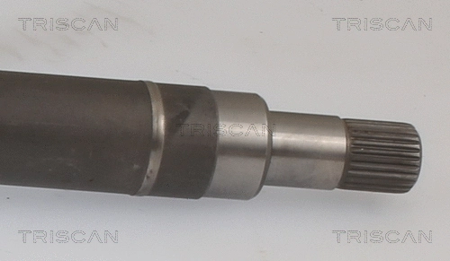 Drive Shaft