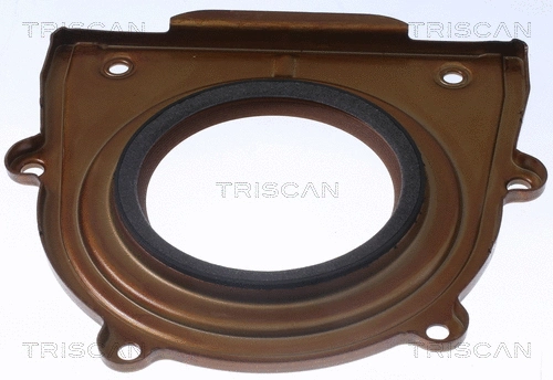 Shaft Seal, crankshaft (8550 10099)