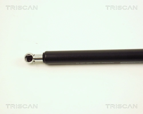 Gas Spring, boot/cargo area