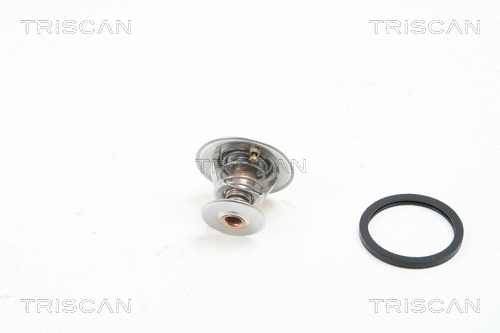 Thermostat, coolant (8620 6888)