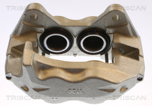 Brake Caliper (8175 13115)