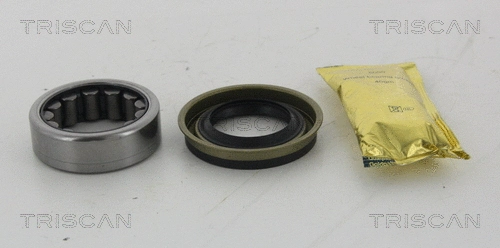 Wheel Bearing Kit (8530 102002)