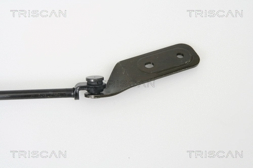 Gas Spring, boot/cargo area