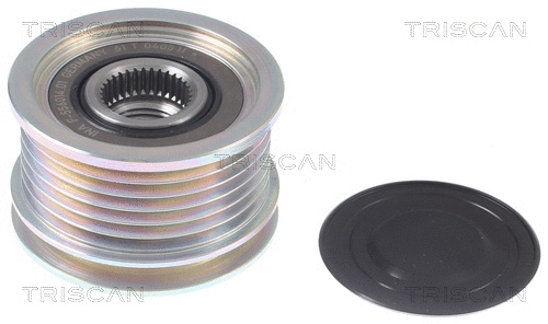 Alternator Freewheel Clutch (8641 384003)
