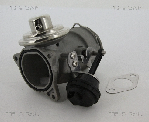 EGR Valve (8813 29040)