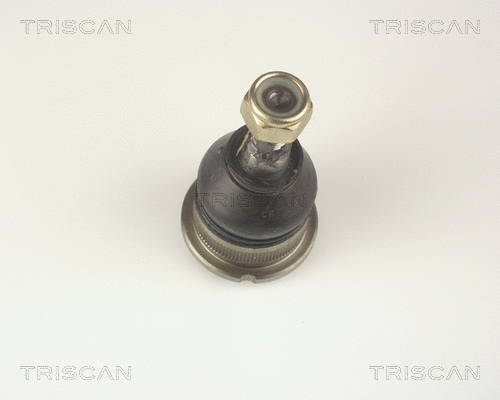 Ball Joint (8500 25500)