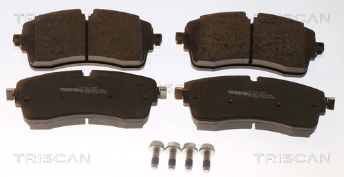 Brake Pad Set, disc brake (8110 17037)