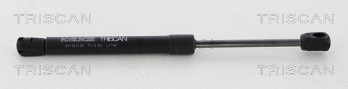 Gas Spring, boot/cargo area (8710 20105)