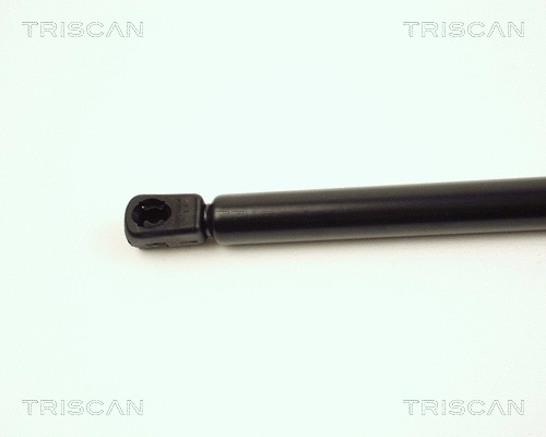 Gas Spring, boot/cargo area