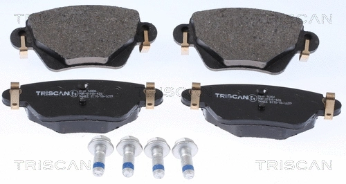Brake Pad Set, disc brake (8110 16006)