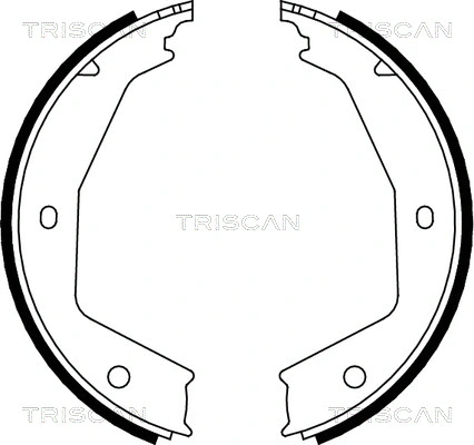 Brake Shoe Set, parking brake (8100 10629)
