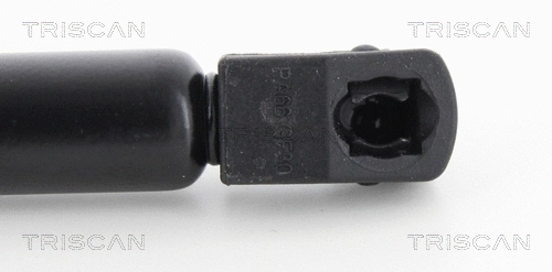 Gas Spring, boot/cargo area