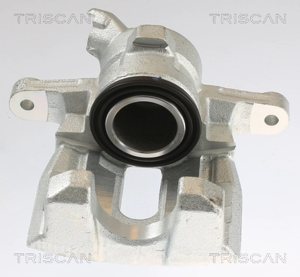 Brake Caliper (8175 17201)