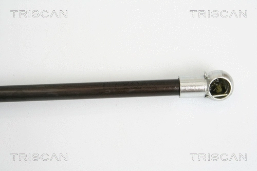 Gas Spring, boot/cargo area