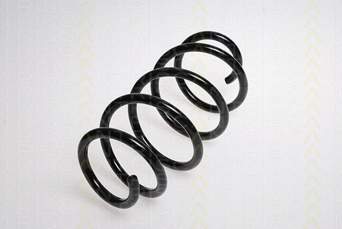 Suspension Spring (8750 16055)