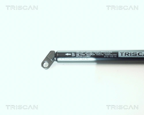 Gas Spring, boot/cargo area