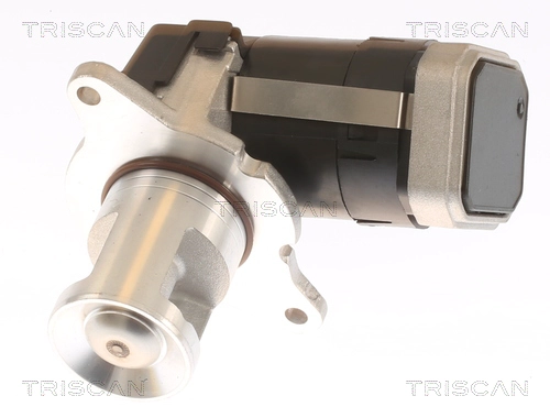 EGR Valve (8813 23036)