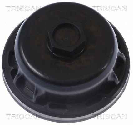 Shaft Seal, crankshaft (8550 25005)