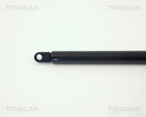 Gas Spring, boot/cargo area