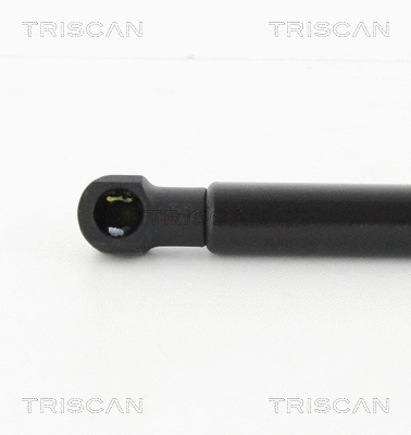 Gas Spring, boot/cargo area
