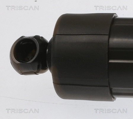 Gas Spring, boot/cargo area