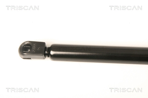 Gas Spring, boot/cargo area