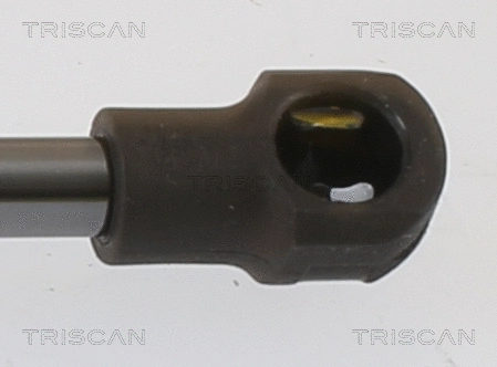 Gas Spring, boot/cargo area