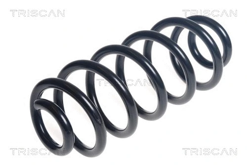 Suspension Spring (8750 29493)